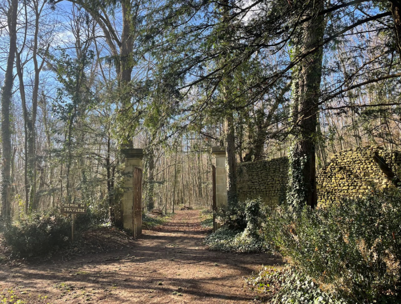 medieval-style shooting location