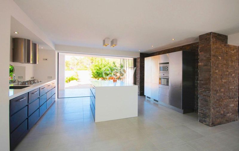 Who exactly is aware of any available photo scenery or backgrounds on the beautiful island of Ibiza?