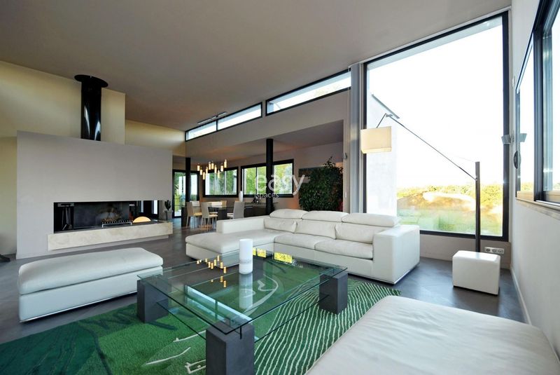 decorative and charming photo backdrop specifically designed for the beautiful city of Toulouse