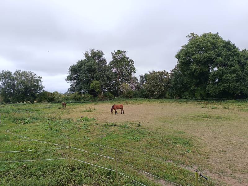 Location in FRANCE suitable for a professional equestrian photoshoot with horses