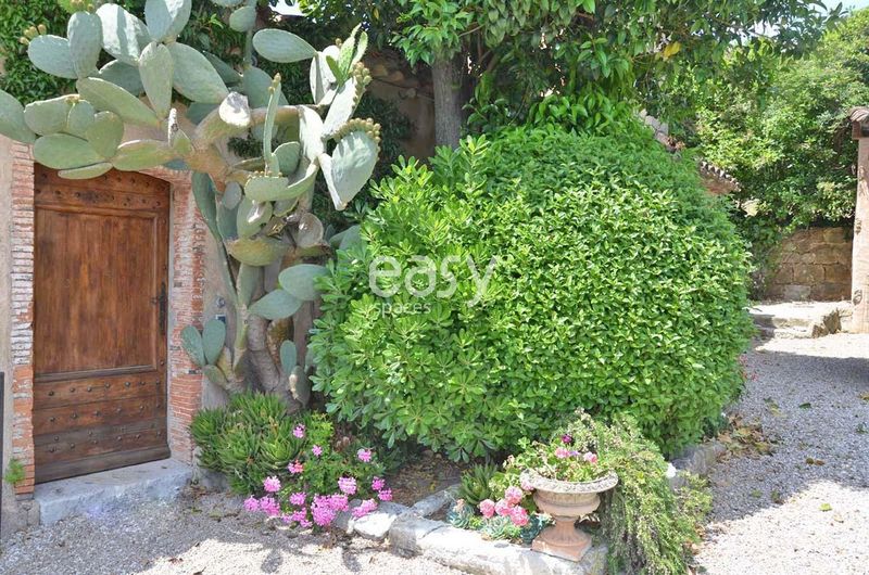 picturesque and idyllic countryside setting perfect for photo shoots and film productions in Cannes