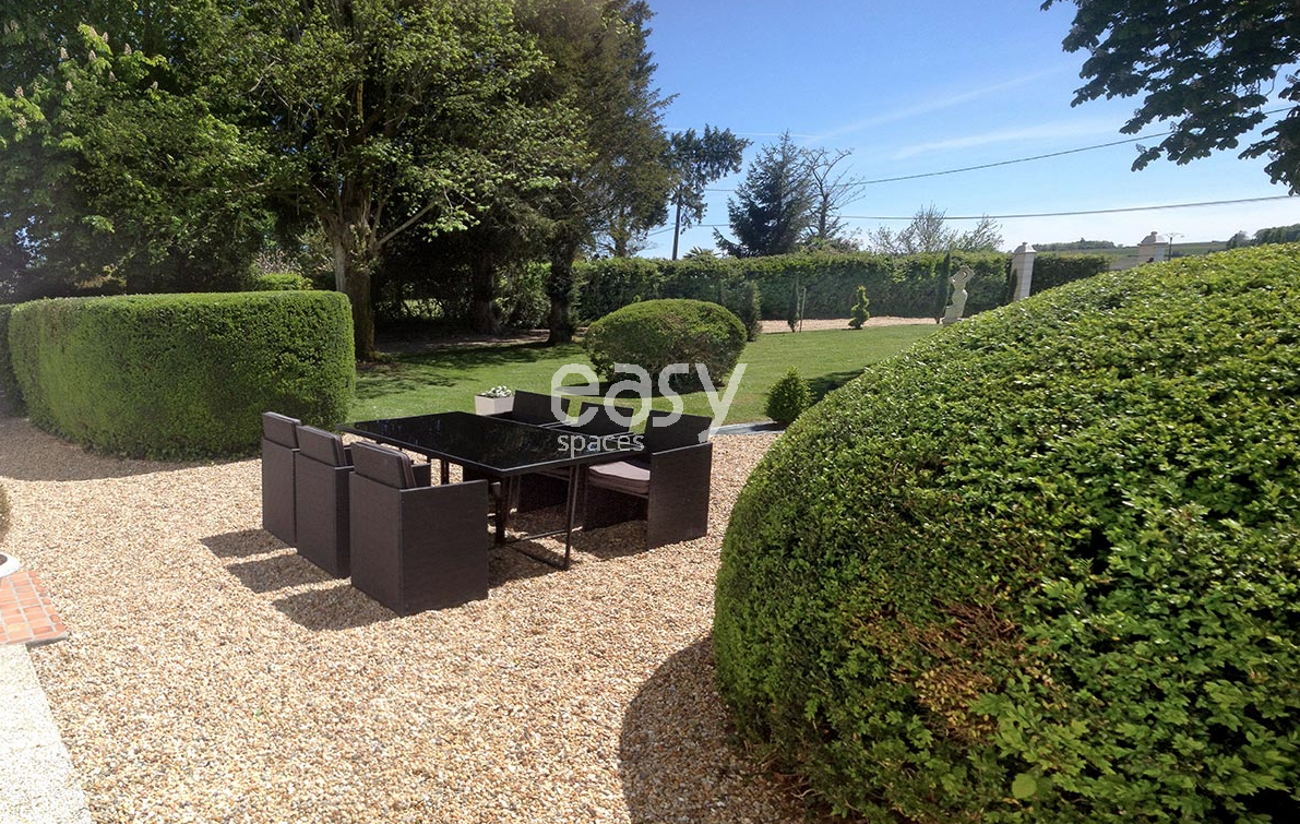 decor for a professional photo shoot with a Bordeaux-inspired theme featuring rich, deep red tones