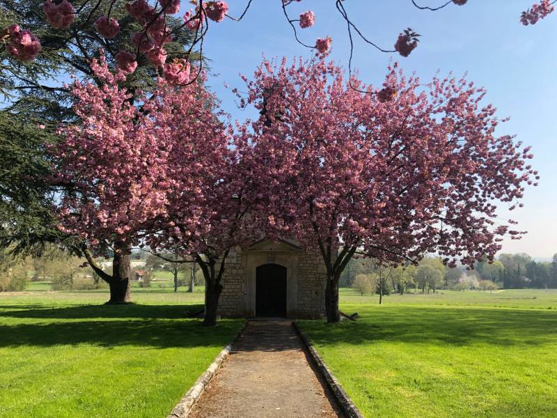 Rustic countryside location perfect for filming near Paris in FRANCE