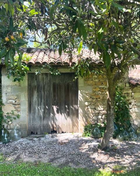 Filming location in the picturesque region of Provence, FRANCE