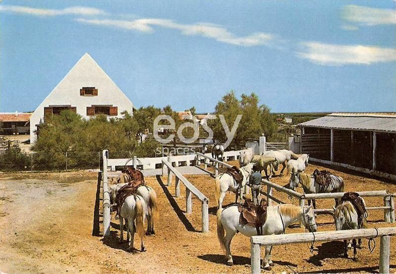 Shooting location in the scenic and beautiful Camargue region