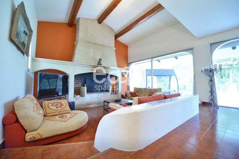 decorative setting designed specifically for professional photo shooting purposes