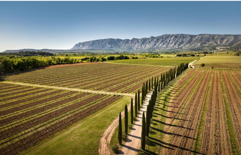Shooting location set within the beautiful and expansive vineyards in France