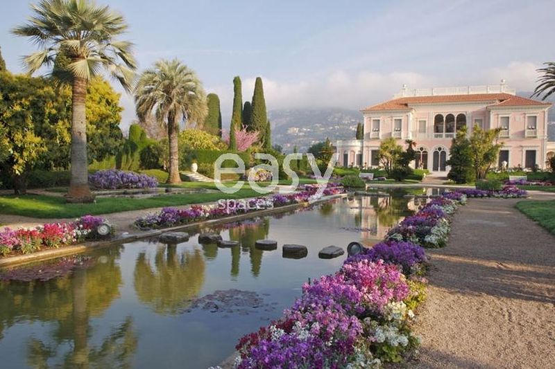 Decorative background setting designed specifically for a photo shoot in Nice