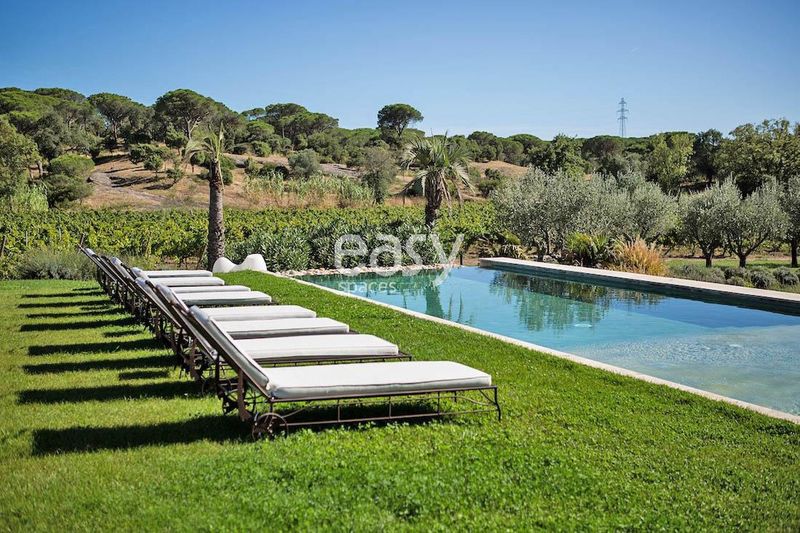 Unique and Unconventional Event Venues That Offer Distinctive Experiences