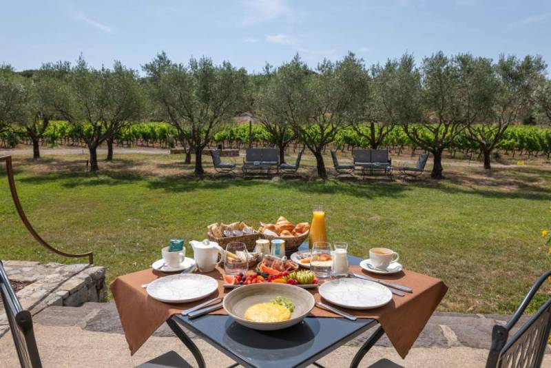 rent a place in the vineyards for a professional photo shooting session in the Var region of FRANCE