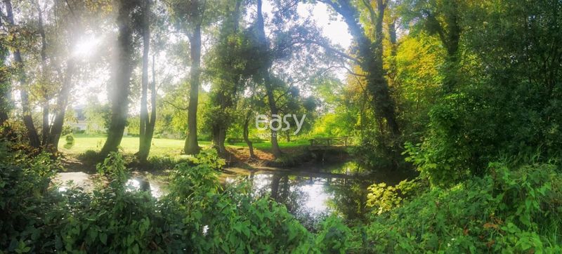 Countryside photoshoot location with a river situated close to the city of Paris