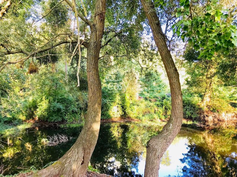 A rural location in the countryside near Paris ideal for film shooting and cinematic productions