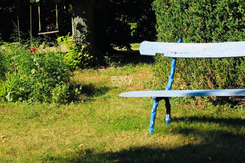 picturesque and charming bucolic setting perfect for a photo shoot in Paris