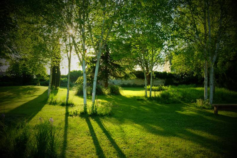 Natural place in France ideal for a professional photoshoot in the city of Paris