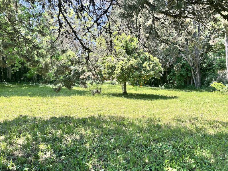 Natural and Authentic Outdoor Setting for Professional Photo Shoot in FRANCE