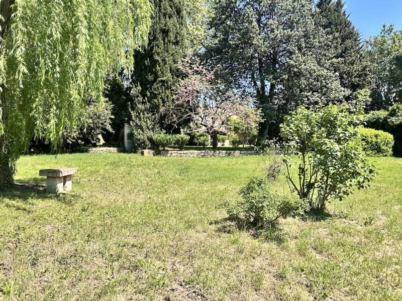 Location for a professional photoshoot in the scenic Alpilles region of France