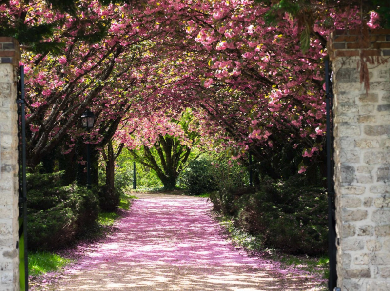Renting a family home for events near Paris