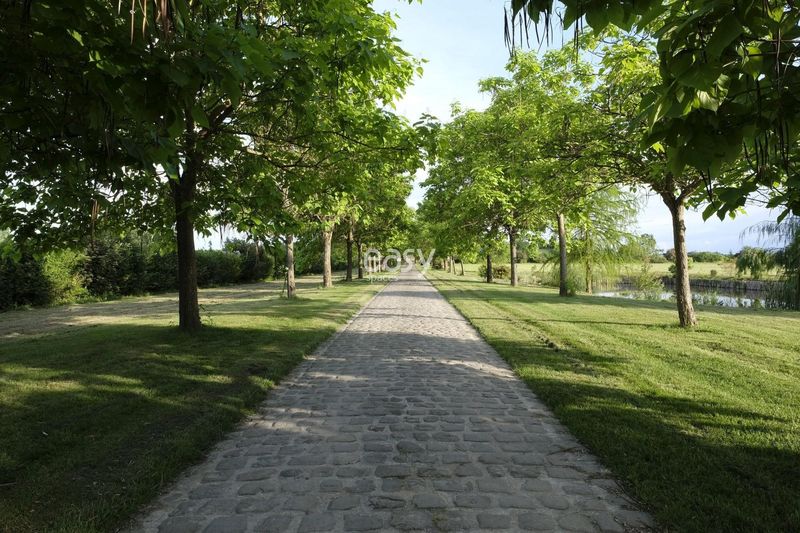 Place designated specifically for the launching of vehicles in Paris