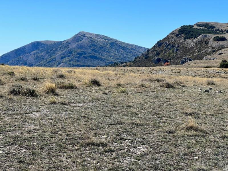 natural scenic environment suitable for filming at the Cannes location in FRANCE