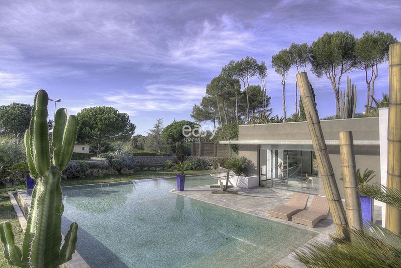 filming location site in Cannes within the Provence-Alpes-Côte d'Azur region