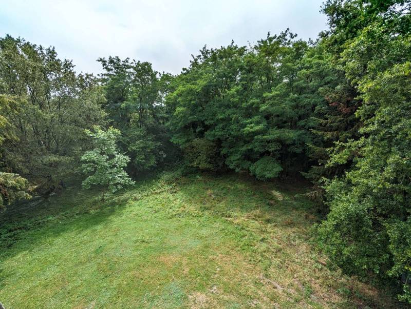 Renting a garden for a photo shoot in Paris