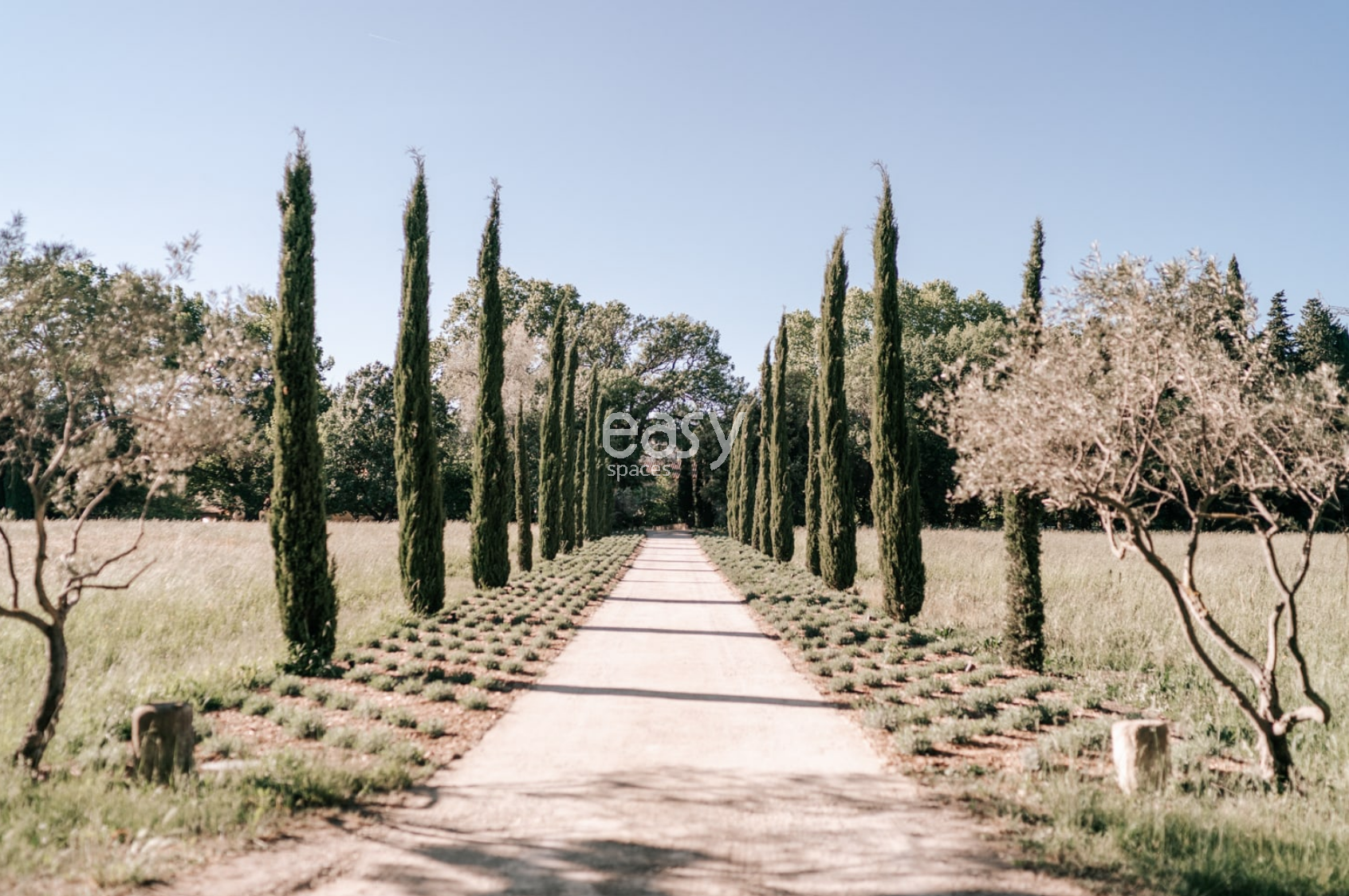 location for car photoshoot in the beautiful Provence region of FRANCE