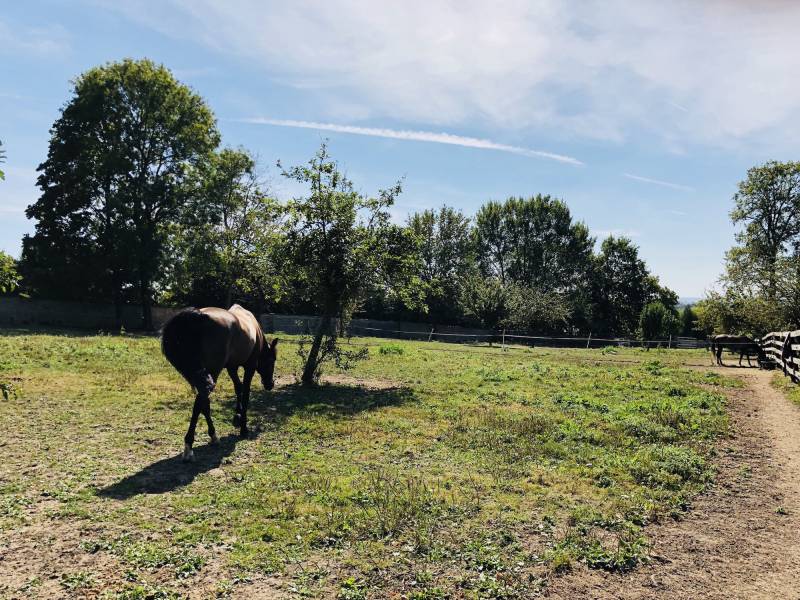 picturesque bucolic setting ideal for a photo shoot in Paris, FRANCE
