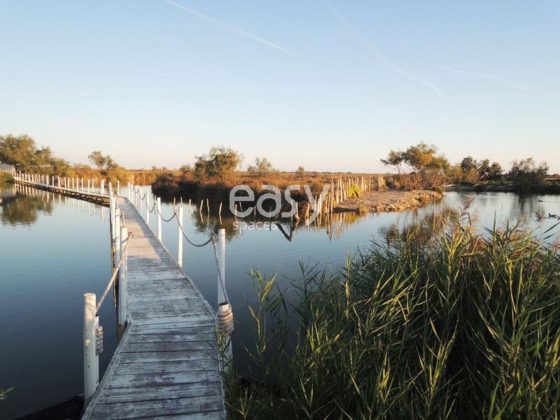 pier used specifically for professional photo shooting sessions in the Camargue region