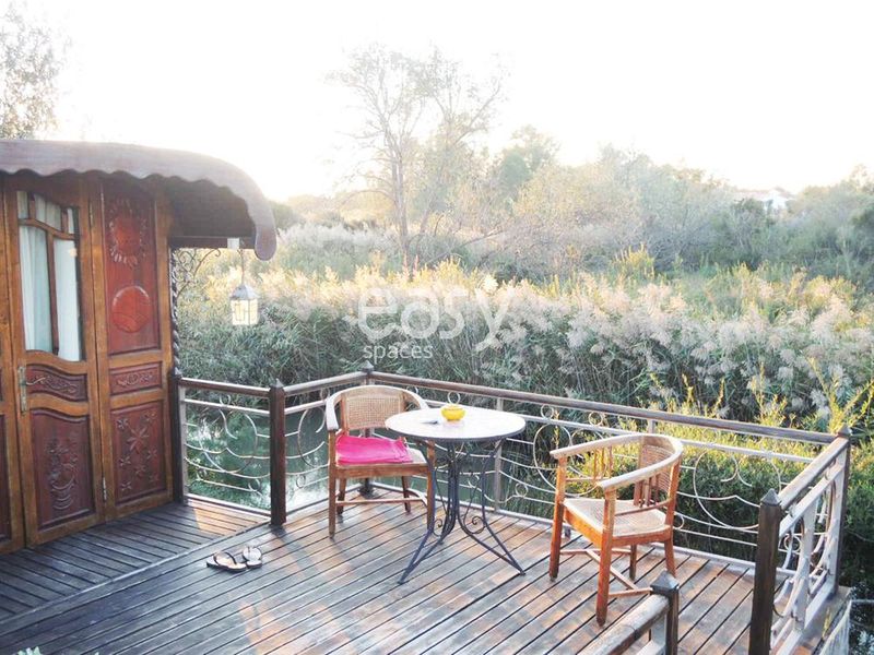 organizing a professional photoshoot for high-quality garden furniture in the scenic region of Camargue