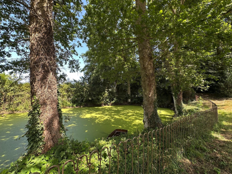 A location in the heart of nature for a photoshoot in Rennes