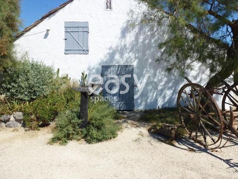 movie scenery representing the picturesque and natural beauty of the Camargue region in southern France