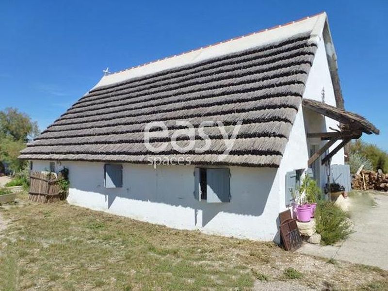 natural outdoor setting with beautiful scenery for a photo shoot capturing authentic moments