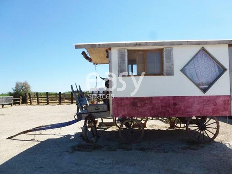 Filming location set in the picturesque and natural region of Camargue