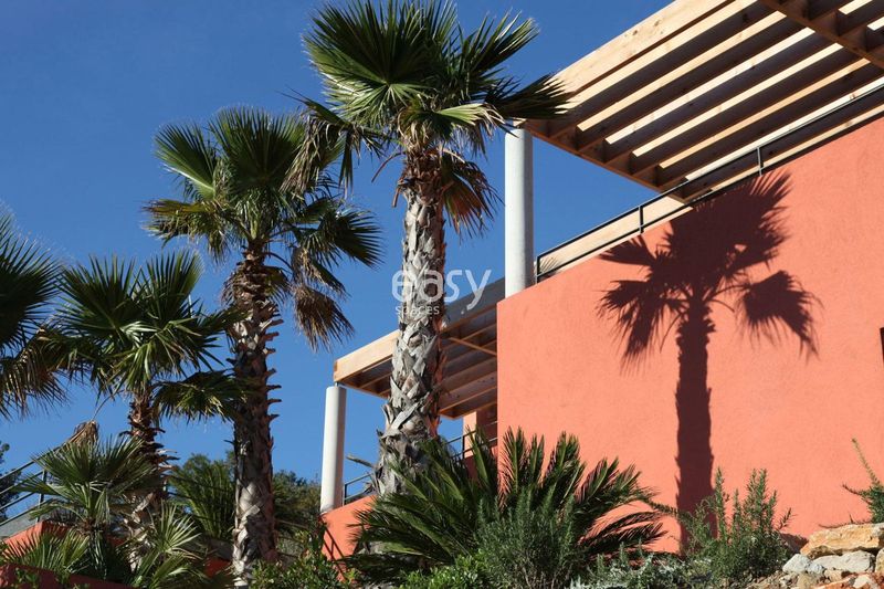 movie set decoration in Saint Tropez, capturing the authentic and vibrant atmosphere of the famous coastal town