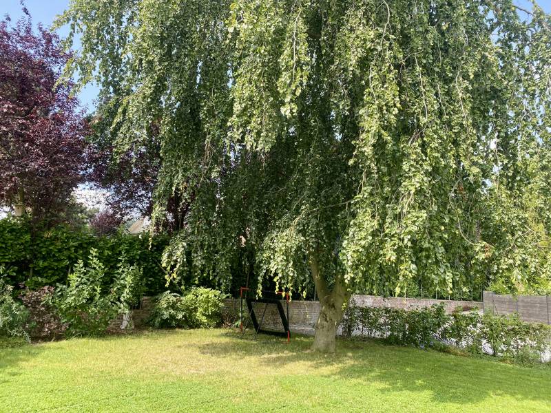 Location agency specialized in film shooting venues in the northern region of France