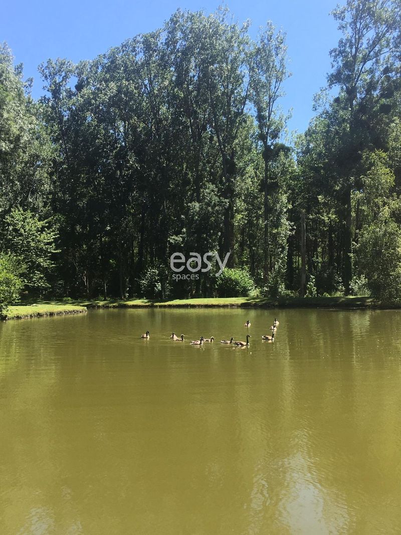 decor agency specialized in professional photo shoot setups based in Paris, FRANCE