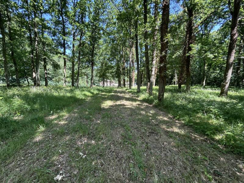 House with a Large Garden Perfectly Suitable for a Photo Shoot in Paris, France