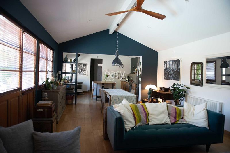 Decorative Background Setting for a Bordeaux Advertising Spot in France