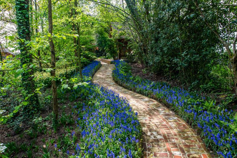 Photoshoot location set in a picturesque and charming bucolic countryside environment in FRANCE