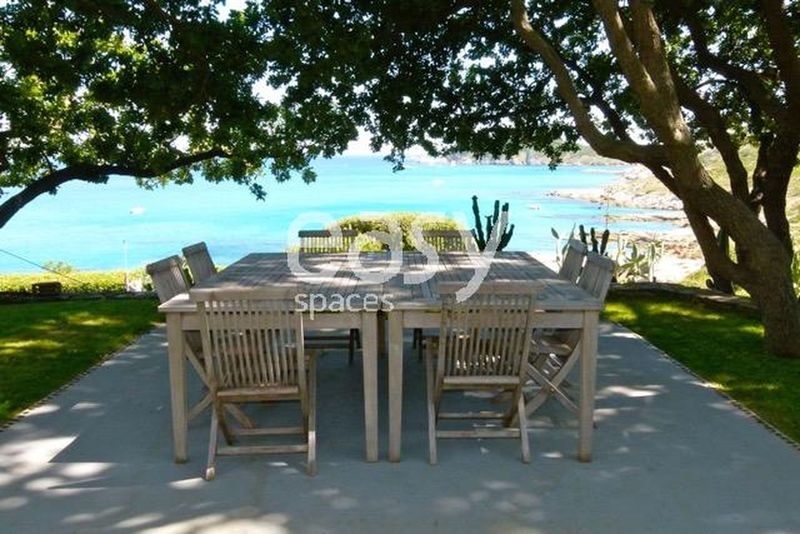 suggest a creative and visually appealing decor setting for a professional photo shoot session