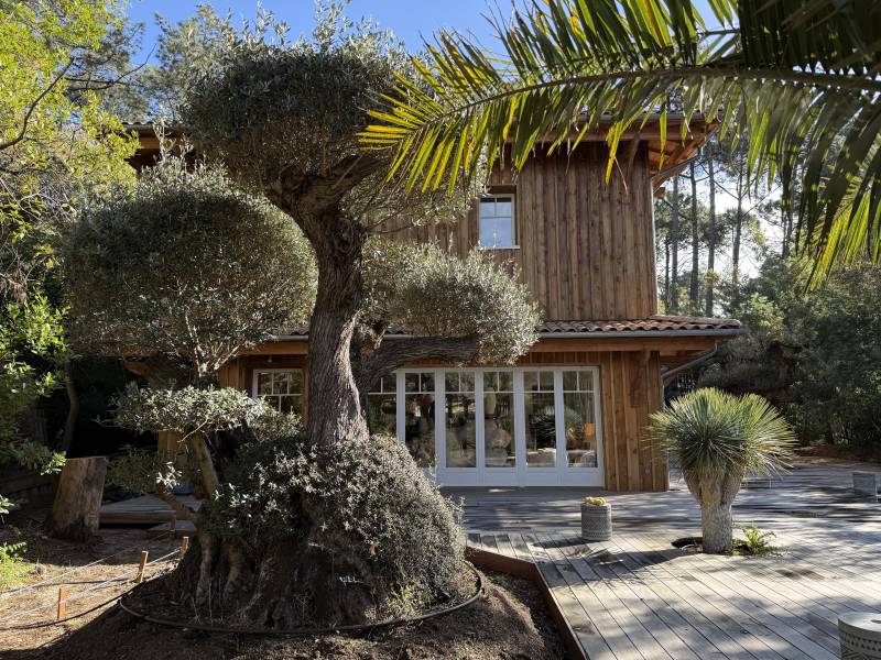 Shooting location in the Bassin d'Arcachon area in France, a famous coastal region