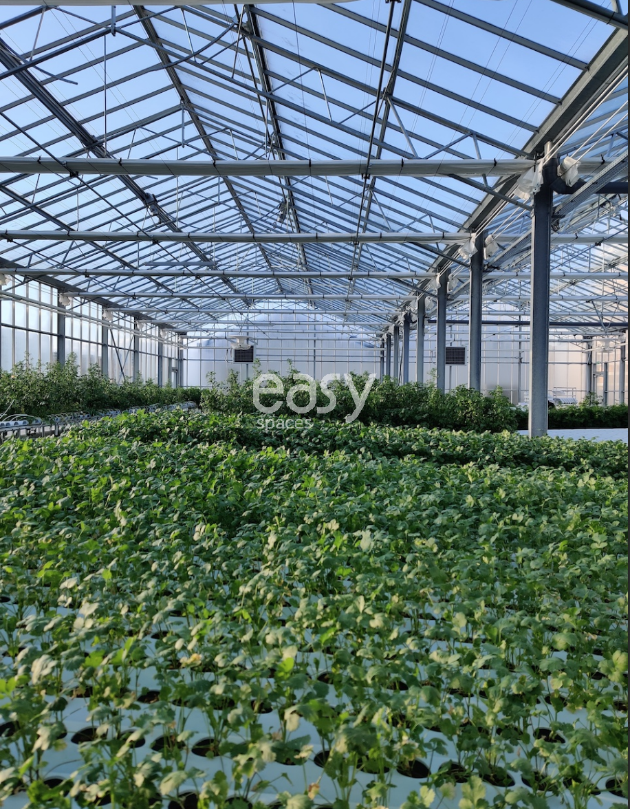 Photographic Shooting Location in a Garden Vegetable Patch Located in Paris, FRANCE