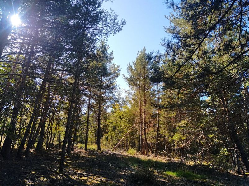 Rental of unique and atypical locations for professional photo shooting and video filming sessions in the South of FRANCE