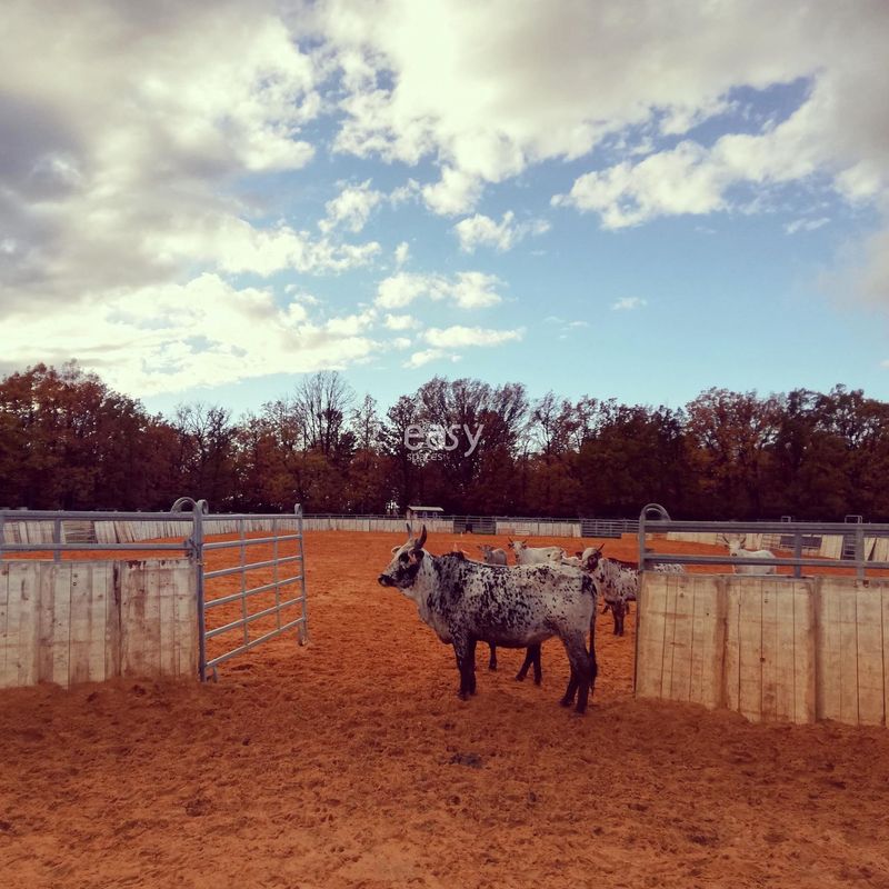 ranch available for rent for photo shoots and film productions in Avignon, located in Gard, FRANCE