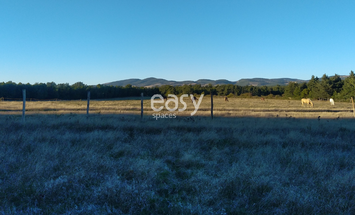 Desert landscape for a professional photo shoot in the south-east of FRANCE