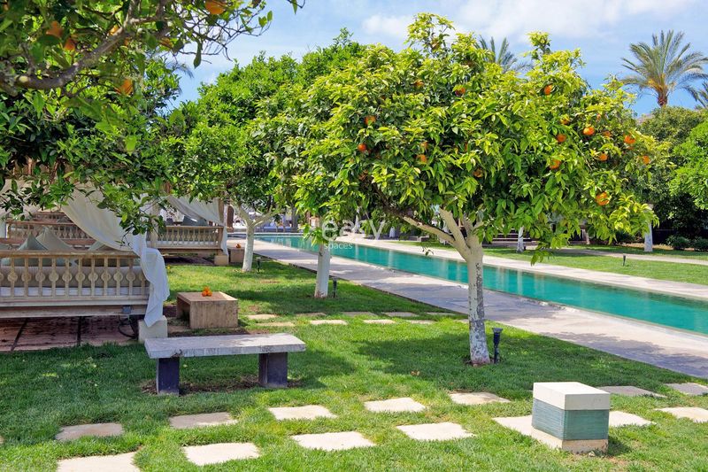 event decoration services specially designed for unique Ibiza celebrations