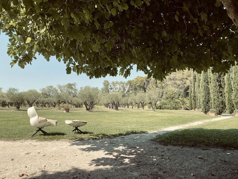 Photography Production Agency Specializing in Provence Region, France