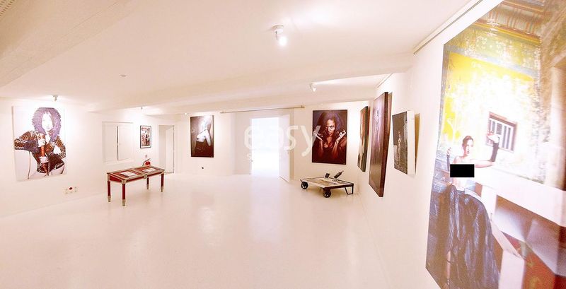 Filming Locations and Iconic Shooting Sites Throughout the Historic City of Montpellier