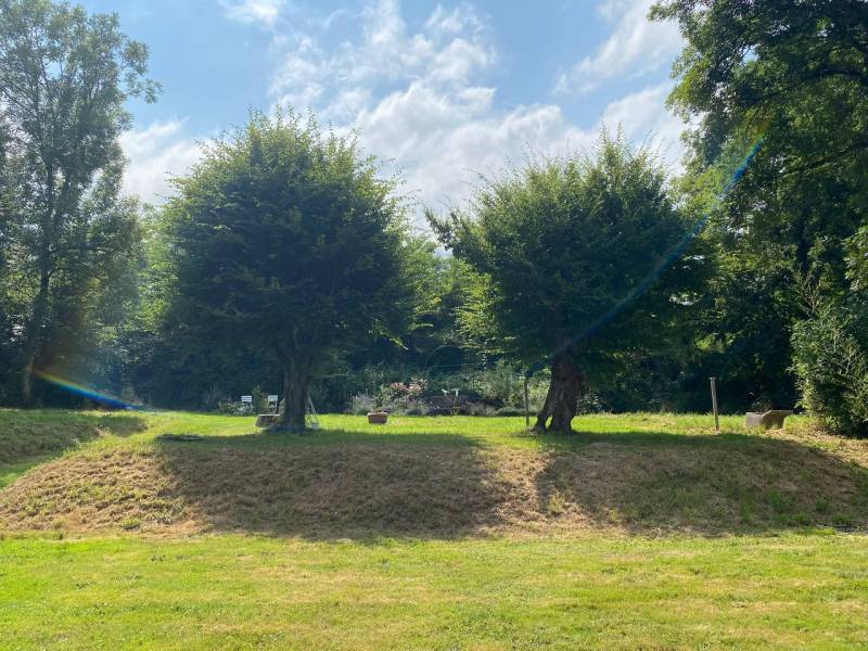 Lush and verdant natural scenery perfectly suited for an outdoor photo shoot in France