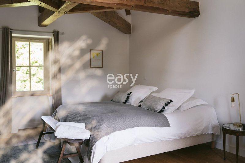 Decor and Background Setup Specifically Designed for Photo Shoots in Lyon, France